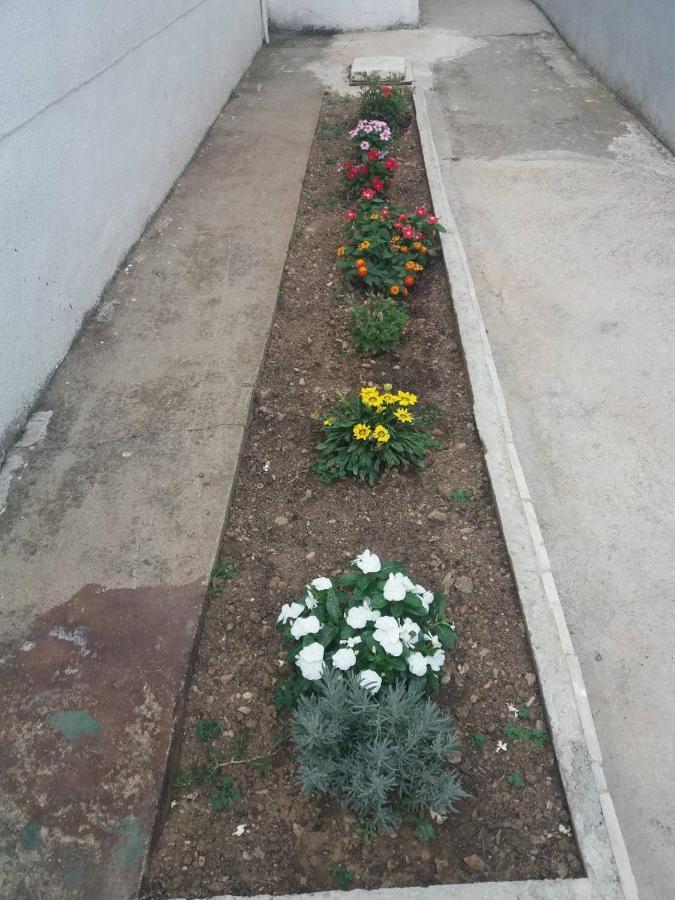 Apartments Radulovic Sutomore Exterior photo