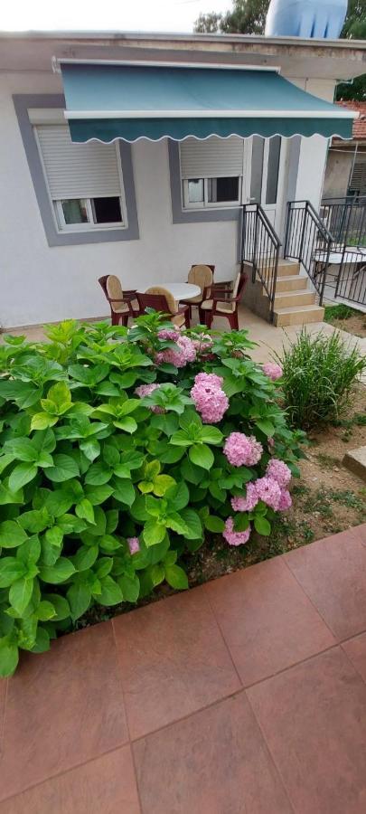 Apartments Radulovic Sutomore Exterior photo